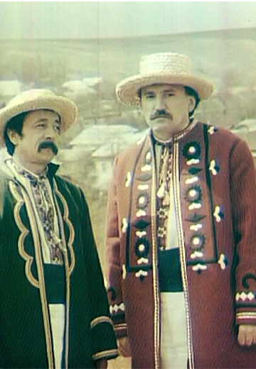 Троїсті музики села Новосілки