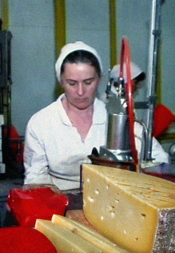 "Burluk Cheeses": Export of Ukrainian Cheeses