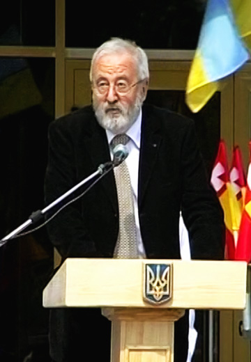 Flag Day: Lutsk, 2011