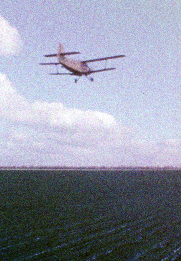 Fertilizing Winter Crops: 1977