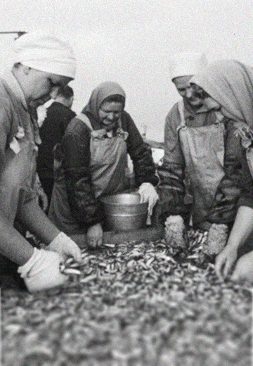 Fishing in Kerch: 1973
