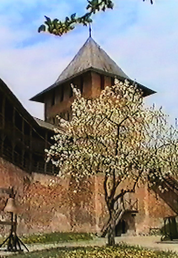 Lutsk City Day, 1995