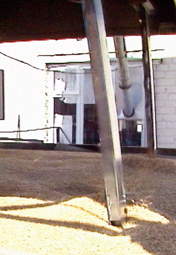 Радивилівський комбінат хлібопродуктів, 2003 рік
