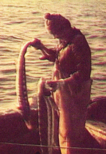 TV film "Azov — a sea of ​​fish"