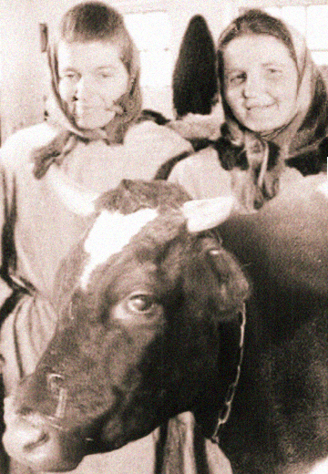 TV plot "Rural Concerns", 1964