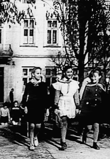 Бібрка: минуле й теперішнє міста, 1996 рік