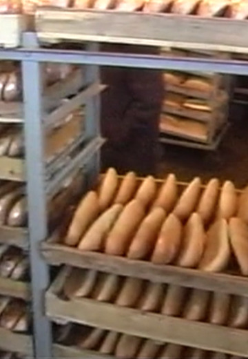 Andrushivka district: 2004 