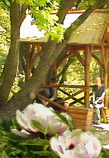 Ботанічний сад імені М. Гришка, 2008 рік