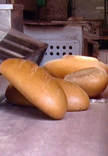 Львівська хлібопекарня, 2008 рік