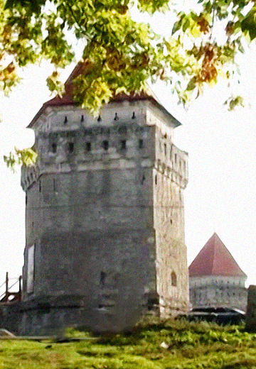 Skalat Castle