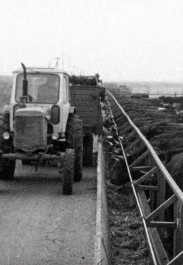 Construction on the Collective Farm: 1977