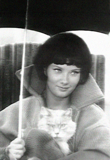 Фільм "Сліпий дощ..."